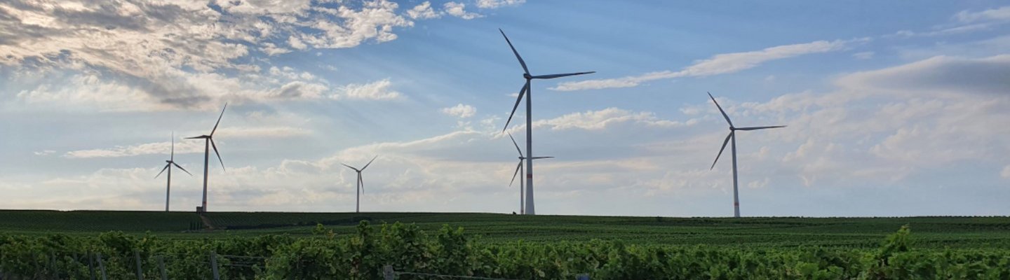 Windräder vor Weinreben 